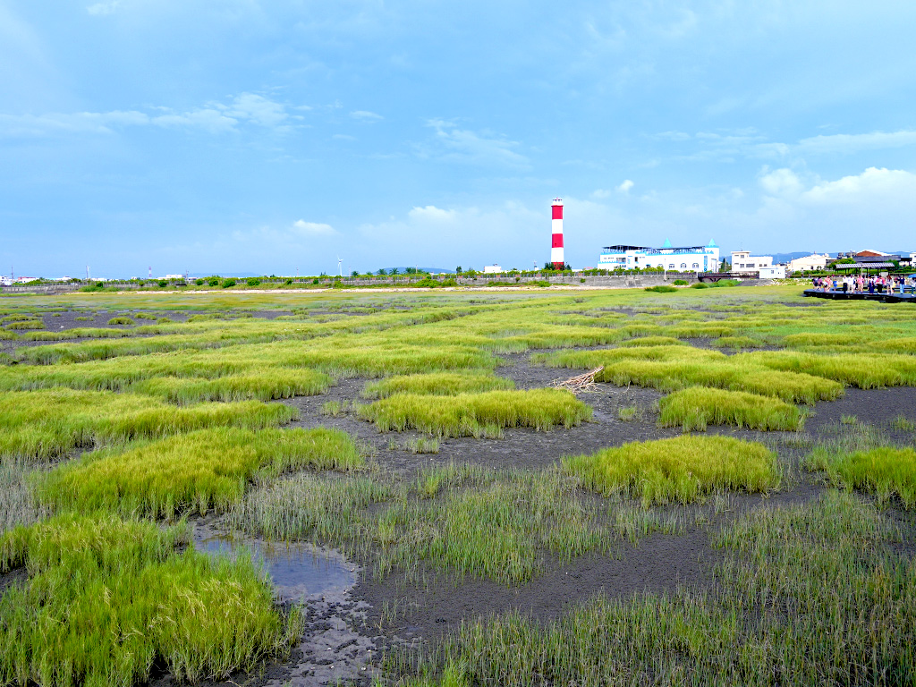 高美濕地