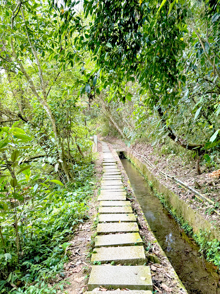 長源圳生態步道
